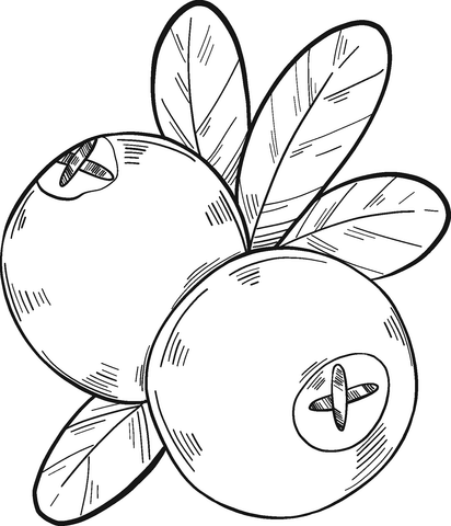 Two Cranberries Coloring Page